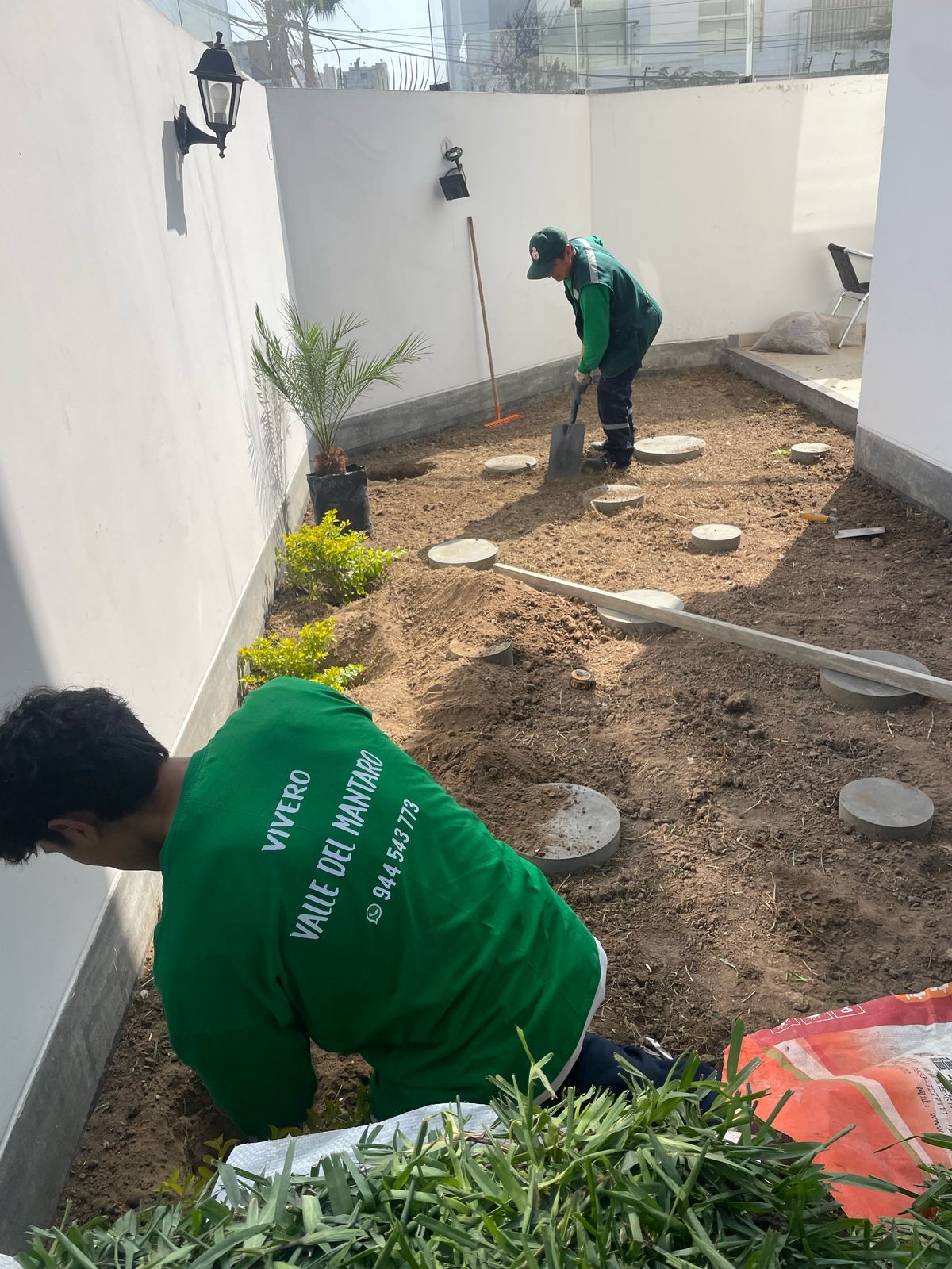 Plantas a domicilio en Lima - Vivero Valle del Mantaro