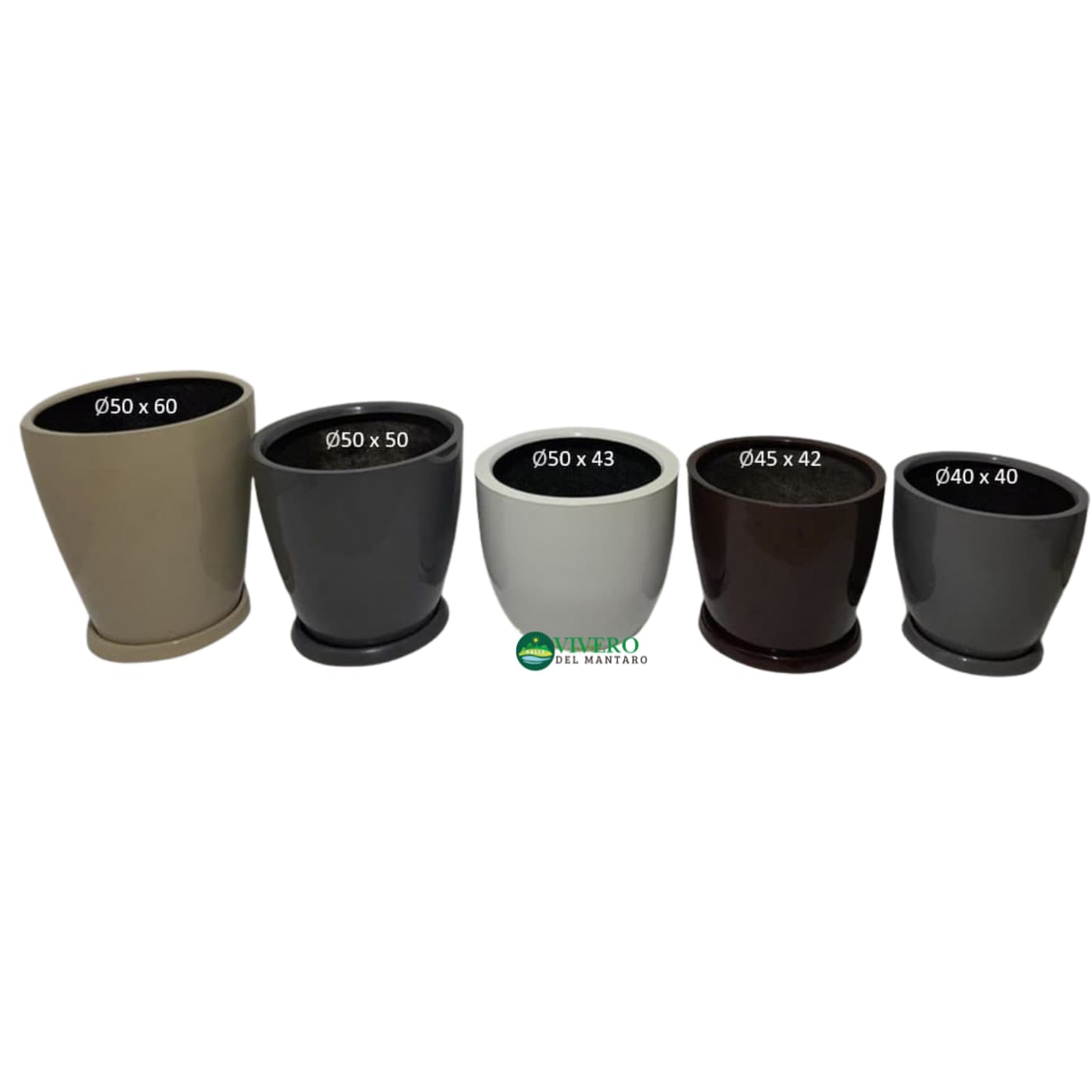 Imagen de Macetas huevo